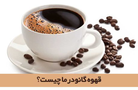 خواص گانودرما نی نی سایت