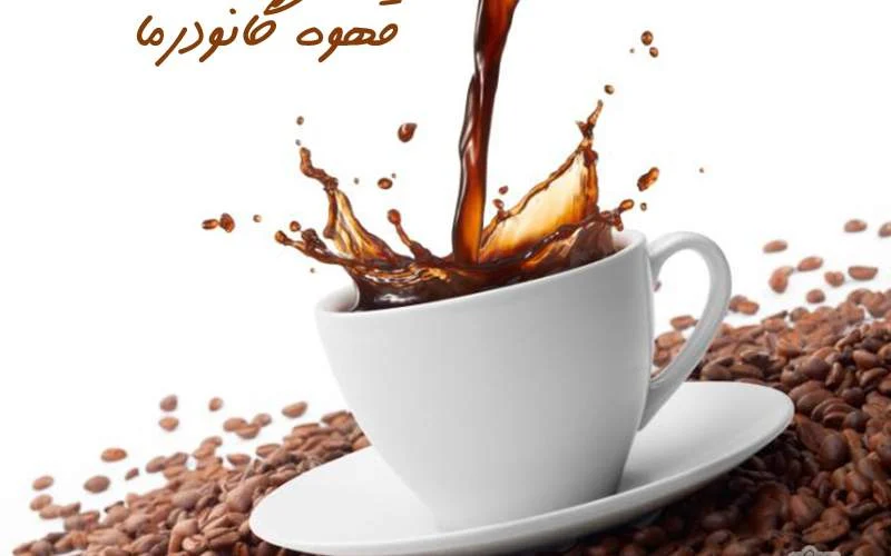  آیا قهوه گانودرما سیستم ایمنی را تقویت می کند؟