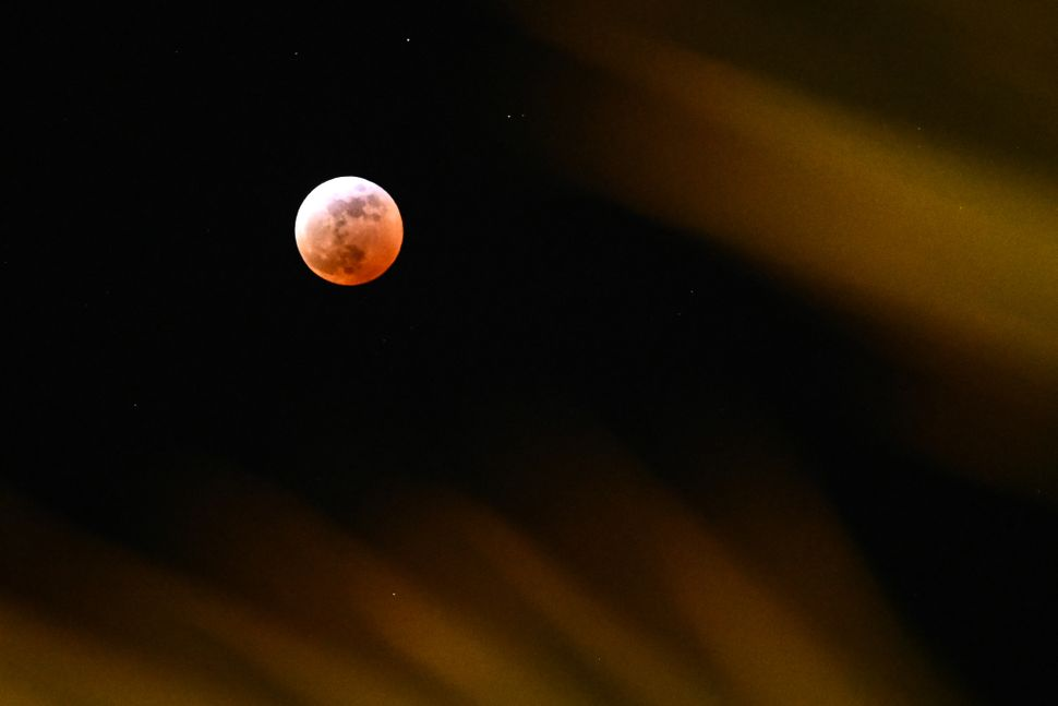 بهترین عکسهای «ماهگرفتگی کامل خونین» شب گذشته