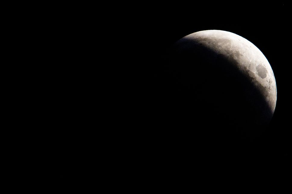 بهترین عکسهای «ماهگرفتگی کامل خونین» شب گذشته