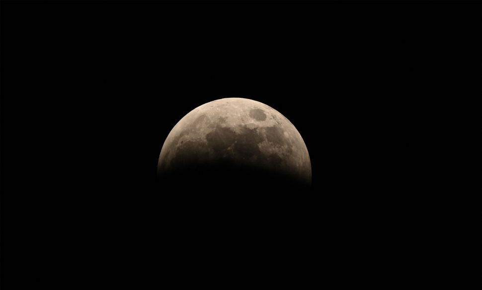 بهترین عکسهای «ماهگرفتگی کامل خونین» شب گذشته