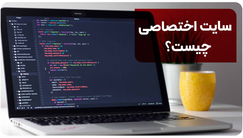 سایت اختصاصی چیست؟