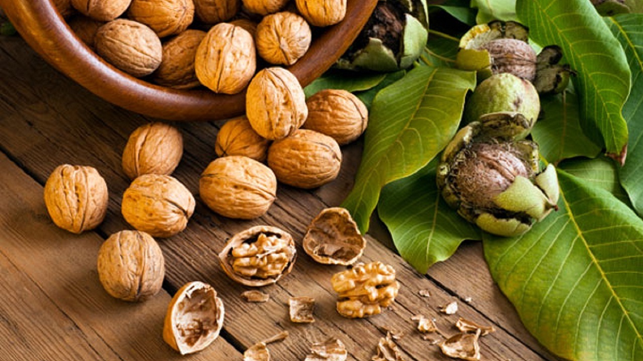سرطان مصرف گردو خطر ابتلا به این سرطان را کاهش میدهد