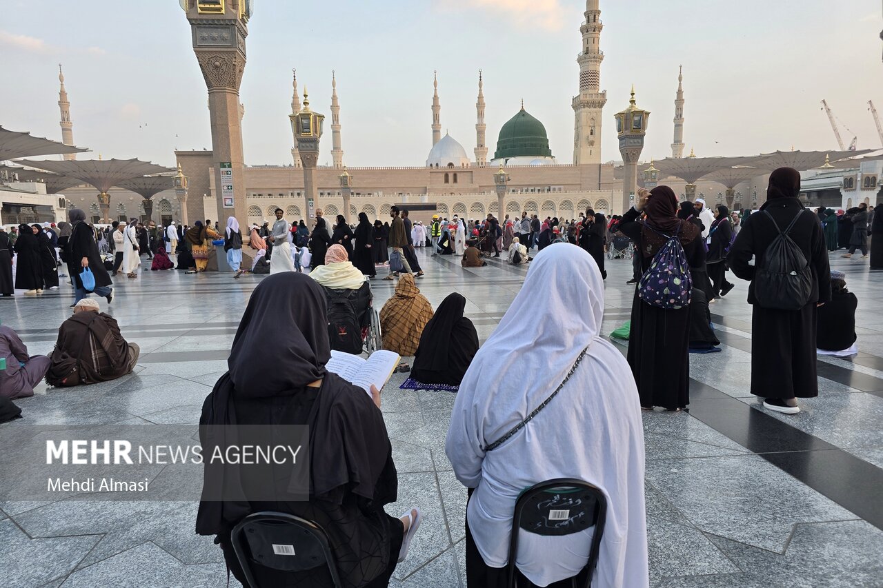 کلاهبردار | کلاهبرداری هشدار درباره کلاهبرداری از مسافران حج و عتبات - خبرگزاری مهر | اخبار ایران و جهان