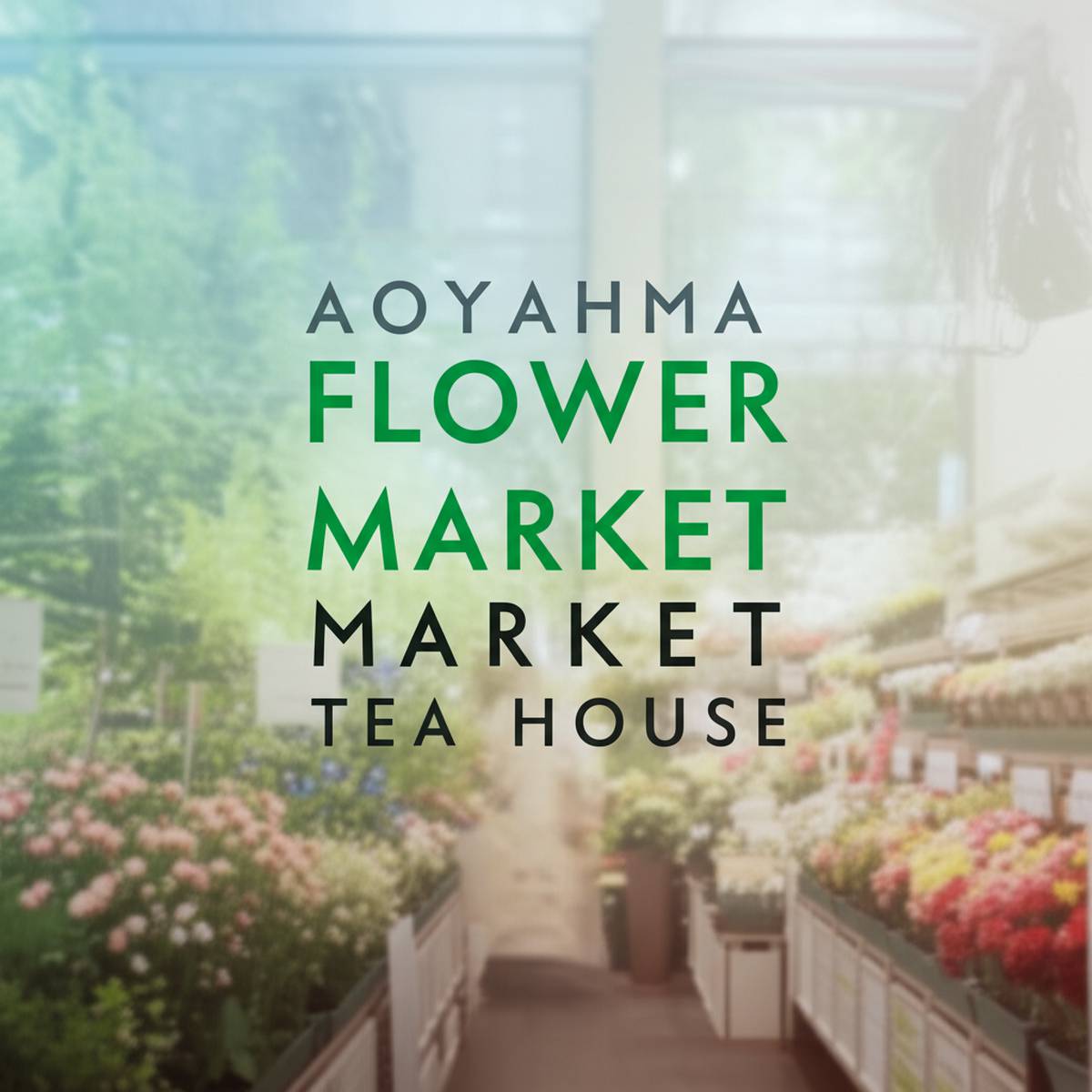 خانه چای و بازار گل آئویاما (Aoyama Flower Market Tea House)