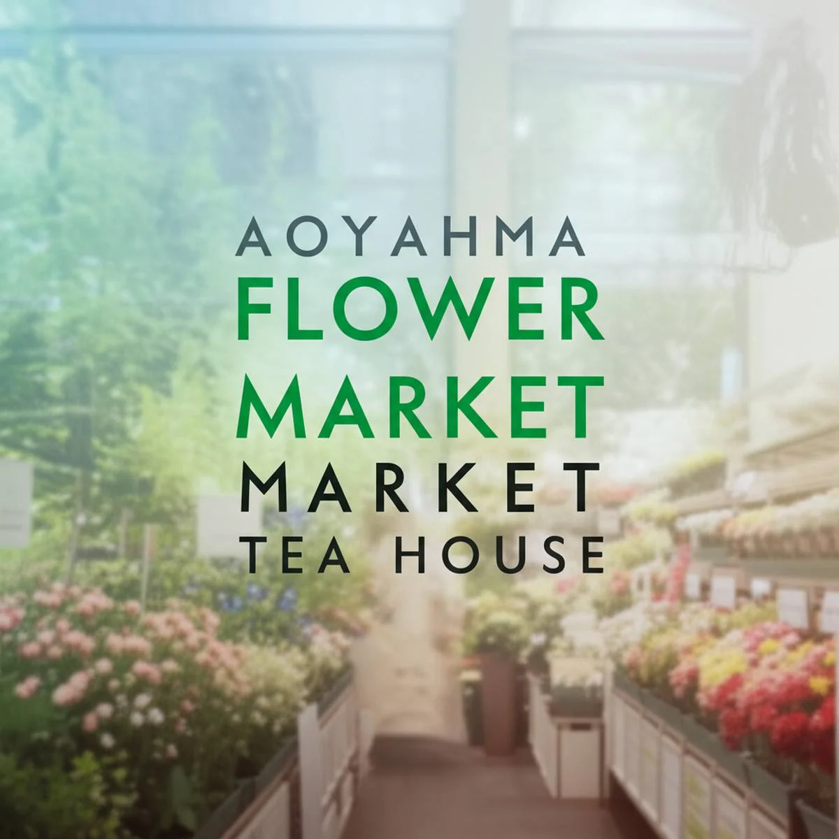 خانه چای و بازار گل آئویاما (Aoyama Flower Market Tea House)