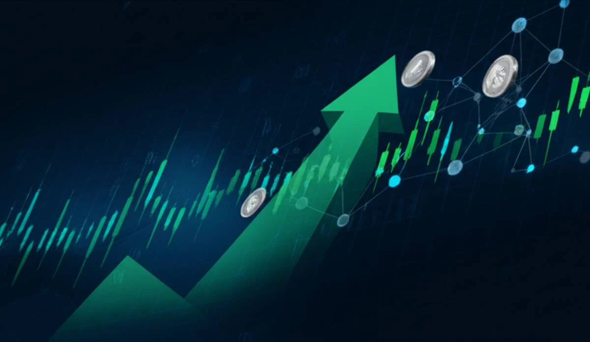 **بازار نوبیتکس: آموزش جامع کار با Nobitex و معاملات رمز ارز**